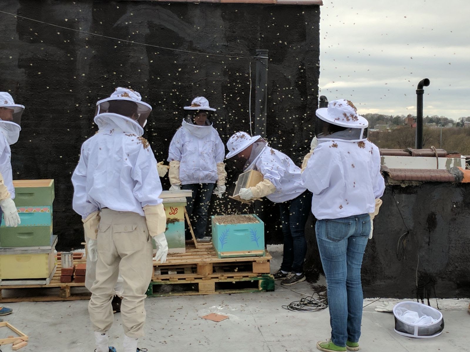 Community Beekeeping Project 12 Steps to Start a Community Beekeeping Project – Q Gardens